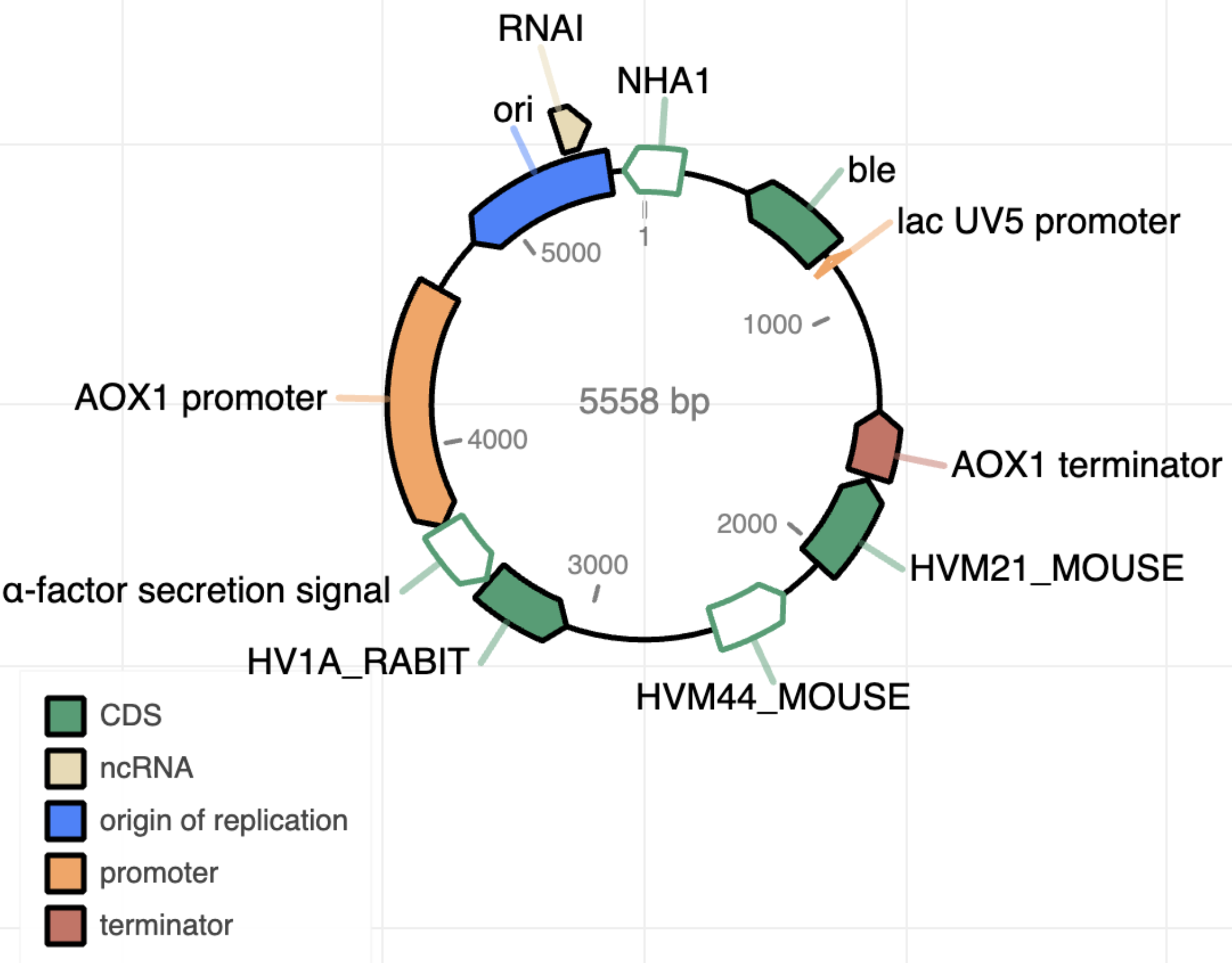Figure 1_Example of the output after plasmid annotation_
