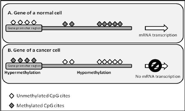 Different methylation patterns in normal (A) and malignant (B) cells.