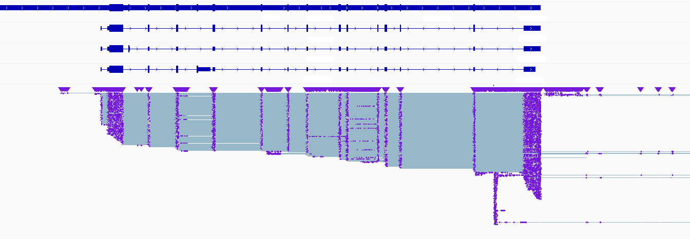 Genome browser view of a white-listed gene of interest_OHMX.bio