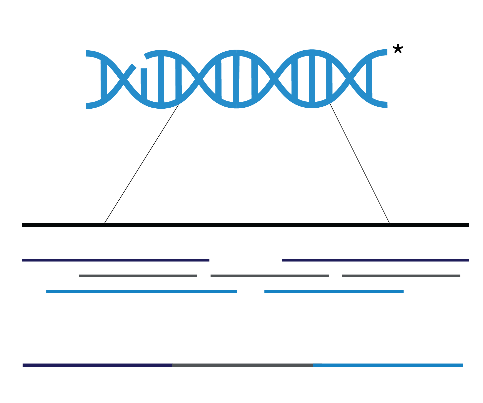 Long read sequencing_OHMX.bio