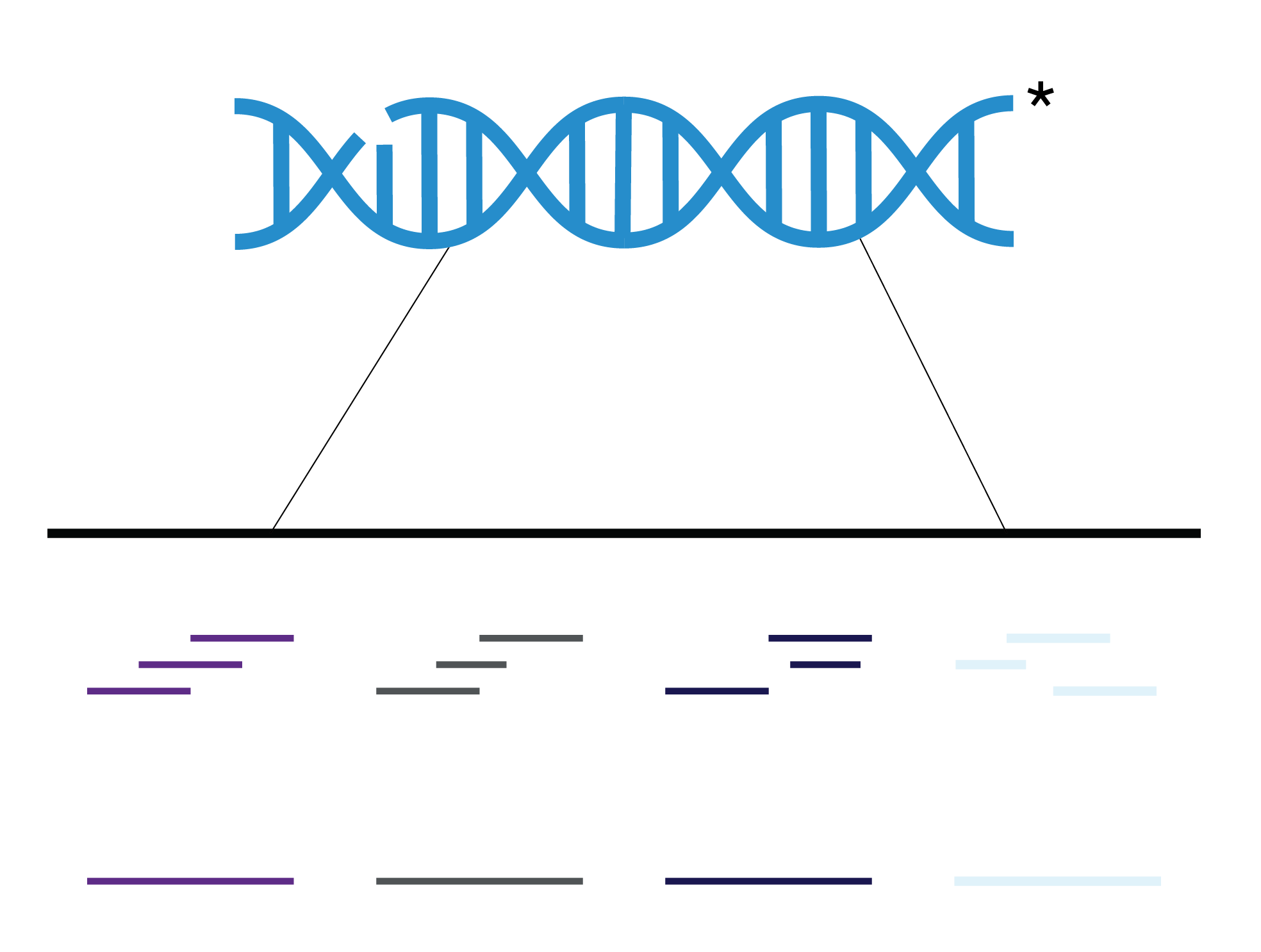 Short read sequencing_OHMX.bio