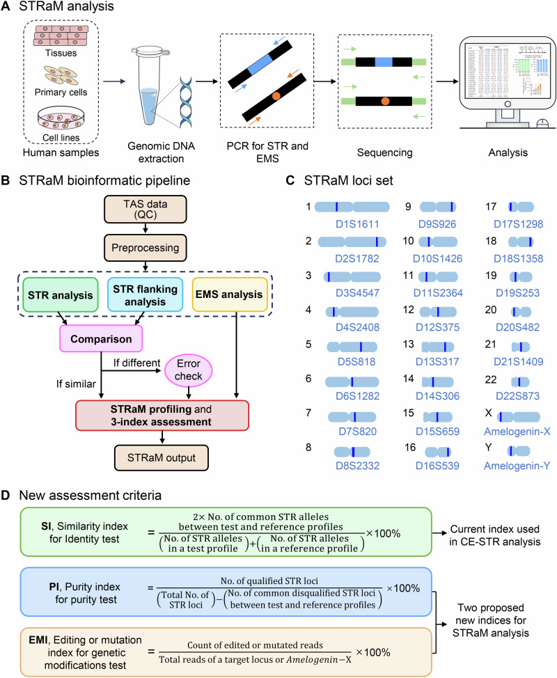 Authentication methods for cell lines